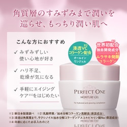 ヨドバシ.com - パーフェクトワン パーフェクトワン