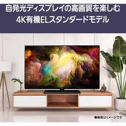 ヨドバシ.com - パナソニック Panasonic VIERA（ビエラ） Z85A