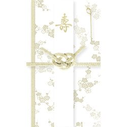 祝儀袋 枝梅 美濃和紙花ごろも VK187