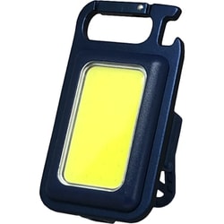 FLP-002NV [COB LED LIGHT]