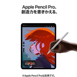 Apple iPad Pro 11インチ M4チップ Wi-Fiモデル 256GB シルバー