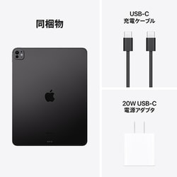 13インチiPad Pro（M4）1TB AppleCare+ Amazon | 13インチiPad Pro Wi-Fiモデル 1TB（標準ガラス搭載