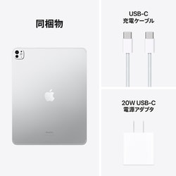 iPad Pro 13インチ (M4) 2TB Nano-Textureガラス Shop Aztecs - 13