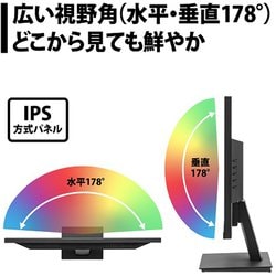 【新品未開封】PRINCETON プリンストン PTF-H242W-BK PTF-H242W-BK | 23.8型 | 液晶ディスプレイ | 製品案内 | 株式