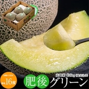 大玉「肥後グリーン」 計約8kg（4～5玉） 産地箱 2～4L 優品以上 熊本県産 メロン 八代・宇城産ほか 常温 [ご注文期間は2024年5月23日（木）まで]