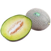 大玉「肥後グリーン」 1玉 約1.6kg 簡易箱 優品以上 熊本県産 メロン 八代・宇城産ほか 常温 [ご注文期間は2024年5月23日（木）まで]
