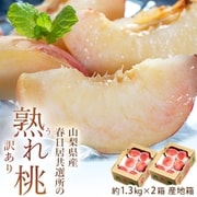 春日居共選所の訳あり「熟れ桃」 山梨県産 約1.3kg×2箱（計約2.6kg） 産地箱 常温 [ご注文期間は2024年7月18日（木）まで]