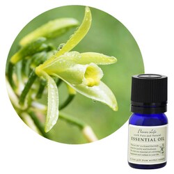 フレーバーライフ エッセンシャルオイル バニラ・アブソリュート10％ 3ml
