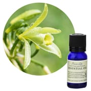 フレーバーライフ エッセンシャルオイル バニラ・アブソリュート10% 10ml