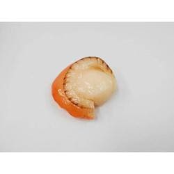 食品サンプルマグネット 帆立