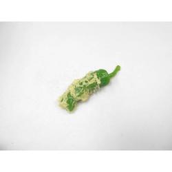食品サンプルマグネット ししとう天