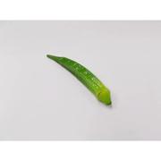 食品サンプルマグネット オクラ