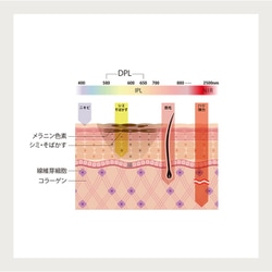 ヨドバシ.com - アイビビッド AIVIVID 光美顔器 LINKA（リンカ