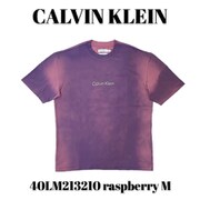 40LM213210 raspberry M [メンズTシャツ 並行輸入品]