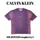 40LM213210 raspberry L [メンズTシャツ 並行輸入品]