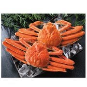 ボイルずわい（姿）2尾セット