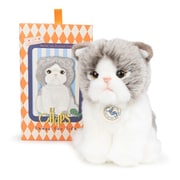 BTC-001SF B.T. Chaps ぬいぐるみ 17cm in Giftbox Scottish Fold（スコティッシュフォールド） [キャラクターグッズ]