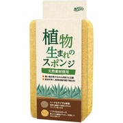 植物生まれのスポンジ