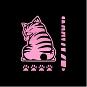 AW-SCBACAST-PK [スクラッチバックキャットステッカー PK]