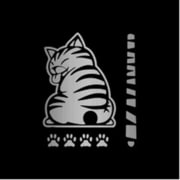 AW-SCBACAST-GRY [スクラッチバックキャットステッカー GRY]
