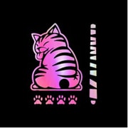 AW-SCBACAST-HOPK [スクラッチバックキャットステッカー HOPK]