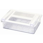 HC-0121 [スキット 収納 ケース ボックス 冷蔵室 棚下 引き出し 卵トレー付 深型 Lサイズ 日本製]