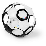 対象年齢:0ヶ月~ サッカーラトルボール 黒×白 16907