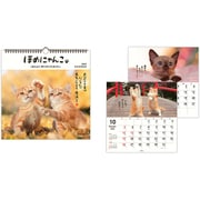 YDC-834-630 [限定 カレンダー 壁掛け 大 ほめにゃんこ]