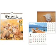 YDC-834-739 [限定 カレンダー 壁掛け 小 ほめにゃんこ]