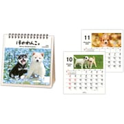 YDC-834-838 [限定 カレンダー 卓上 ほめわんこ]