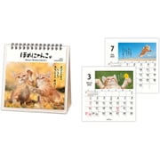 YDC-834-845 [限定 カレンダー 卓上 ほめにゃんこ]