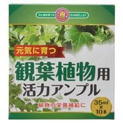 活力アンプル（観葉植物用） 10p