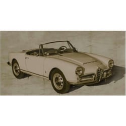 IT3668JP 1/24 アルファロメオ ジュリア 1600 スパイダー 日本語説明書付属 [組立式プラスチックモデル]