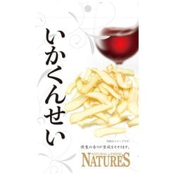 山栄食品工業 NTSいかくんせい 17g