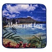 BA011044 [HAWAII タオルハンカチ 22×22cm Diamond Head]