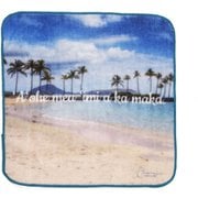 BA011051 [HAWAII タオルハンカチ 22×22cm Kahala Hilton Beach]