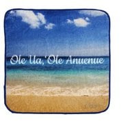 BA011068 [HAWAII タオルハンカチ 22×22cm Rainbow On The Beach]