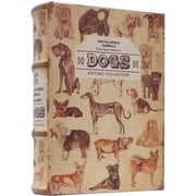 アンティークルック エンプティ ブックボックス DOG IN054544