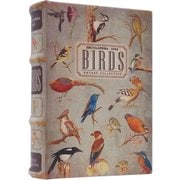 アンティークルック エンプティ ブックボックス BIRD IN054568
