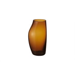 【国内正規品】 スカイ （SKY） ヴェース アンバー （S） 10019906