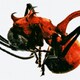 QM / 4TH ALBUM : ANT [K-POP 輸入盤CD]