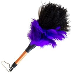 ミニ毛ばたき オーストリッチ＆鶏 全長約21cm M-15