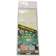 高輝度蓄光ポイントマーカーシール 白色系LED対応12枚