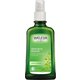 ホワイトバーチ ボディオイル グレープフルーツの香り 100ml [ボディオイル]