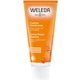 ハンドクリーム ヒッポファン フルーティハンドクリーム フレッシュ＆フルーティな香り 50ml