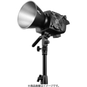 LEDライト MOLUS B300