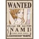 208-136 ワンピース 航海士“泥棒猫ナミ” [ジグソーパズル 208ピース]