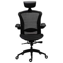 E5 Mesh Ergonomic Chair メッシュ素材表面加工 2Dヘッドレスト・ランバーサポート搭載 アメリカ BIFMA規格認証取得 エルゴノミックチェア TS-E5 Black