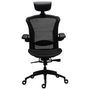 E5 Mesh Ergonomic Chair メッシュ素材表面加工 2Dヘッドレスト・ランバーサポート搭載 アメリカ BIFMA規格認証取得 エルゴノミックチェア TS-E5 Black