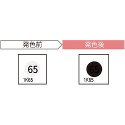 サーモカラーセンサー（20枚入り） 1K65-JP